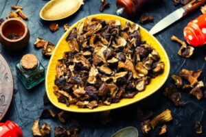 Getrockneten Pilze